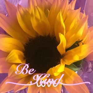 Meet your Posher, Ellen